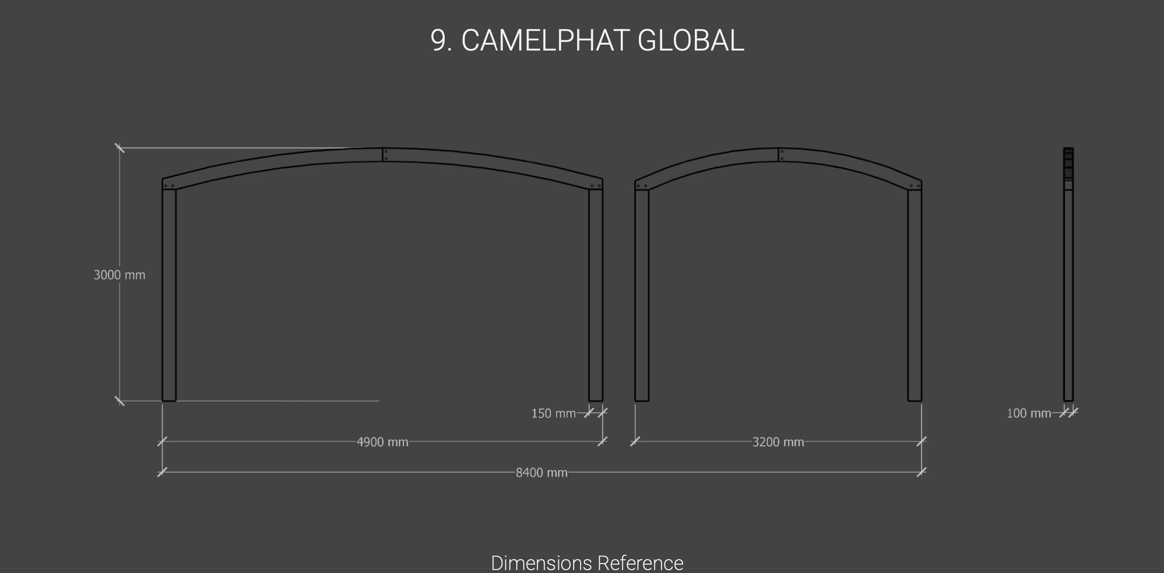 Camel Design 1