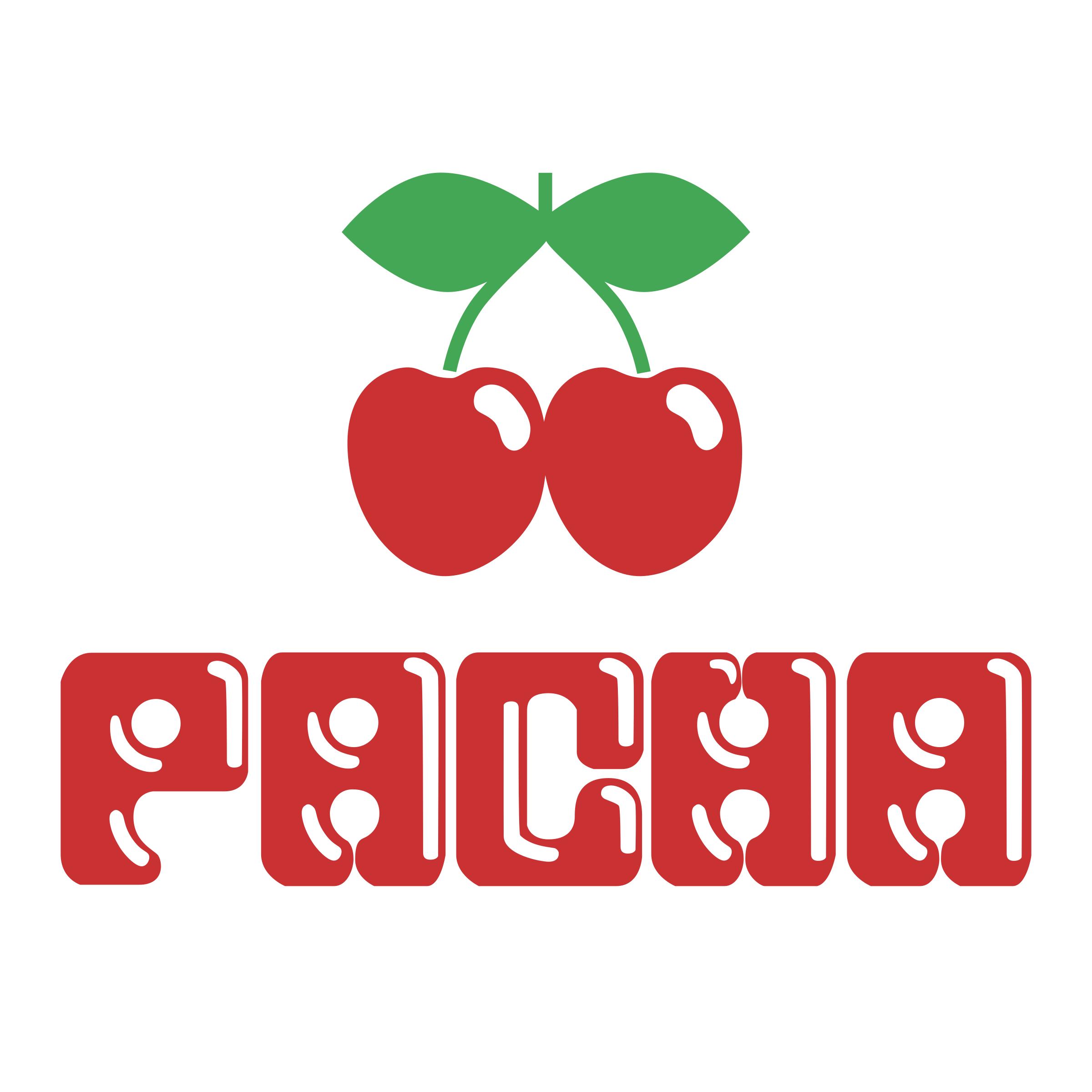 Pacha Logo